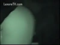 [ Bestiality Porn DVD ] Infra red clip of anal with a dog